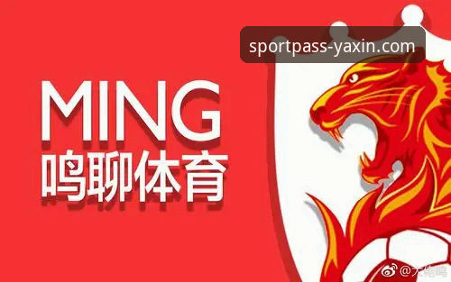 揭秘亚新体育安卓版：从下载到实战的完整操作指南